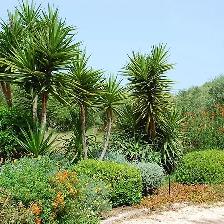 Quinta Do Sotavento 蒙卡拉帕乔