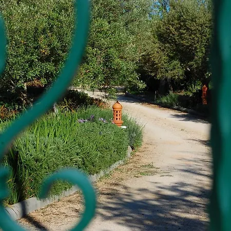 别墅 Quinta Do Sotavento 蒙卡拉帕乔