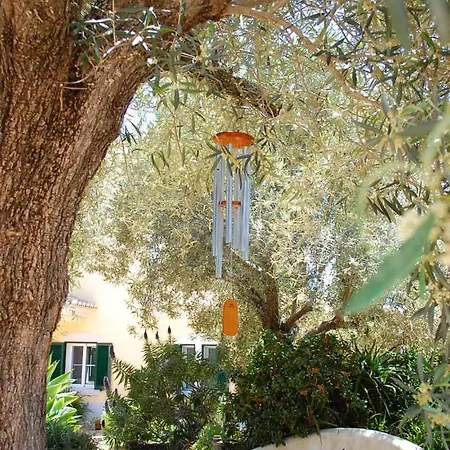 Villa Quinta Do Sotavento *